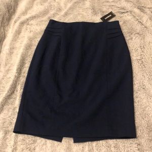 Express Pencil Skirt